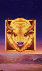 Buffalo's Sun